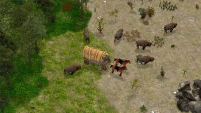 activity images